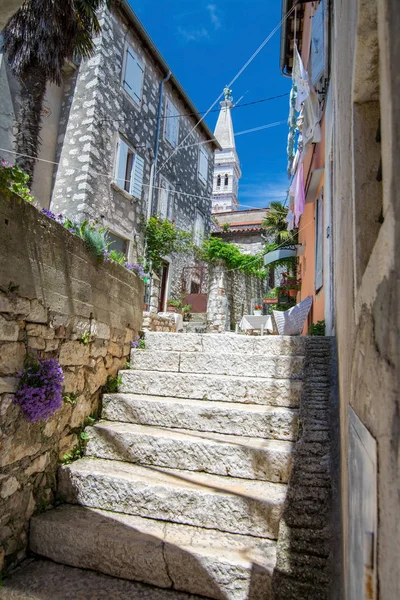 Rovinj Una Ciudad Croacia Situada Mar Adriático Norte Croacia — Foto de Stock
