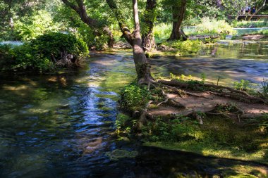 Krka Ulusal Parkı Hırvatistan 'ın Dalmaçya kentindeki ulusal parklardan biri..