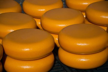 Alkmaar 'ın ana ilgi alanı Waagplein' daki peynir pazarı..