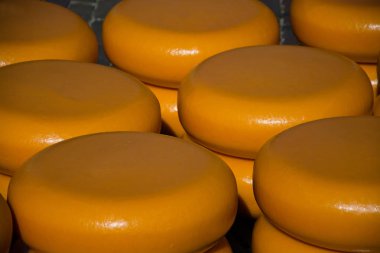 Alkmaar 'ın ana ilgi alanı Waagplein' daki peynir pazarı..