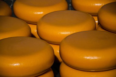 Alkmaar 'ın ana ilgi alanı Waagplein' daki peynir pazarı..