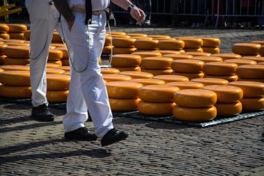 Alkmaar 'ın ana ilgi alanı Waagplein' daki peynir pazarı..