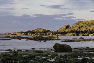 Dornoch Firth, İskoçya 'nın kuzeyindeki Highland' in doğu kıyısında yer alan bir firth..