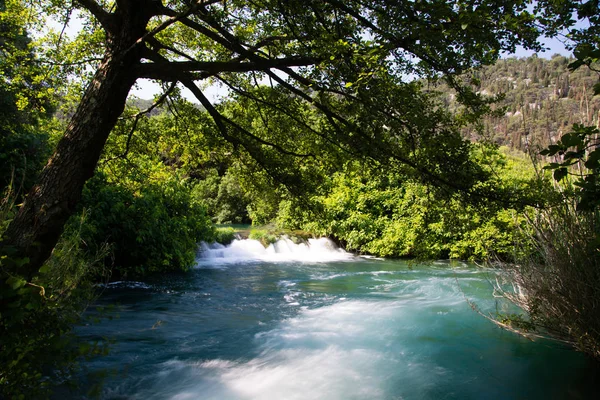 Park Narodowy Krka Jest Jednym Parków Narodowych Dalmacji Chorwacja — Zdjęcie stockowe