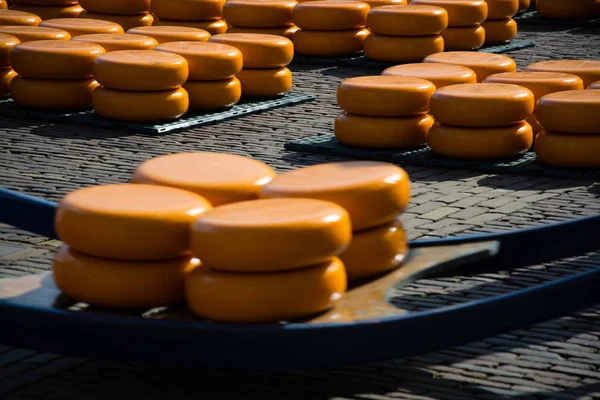 Principal Atração Alkmaar Mercado Queijo Waagplein — Fotografia de Stock