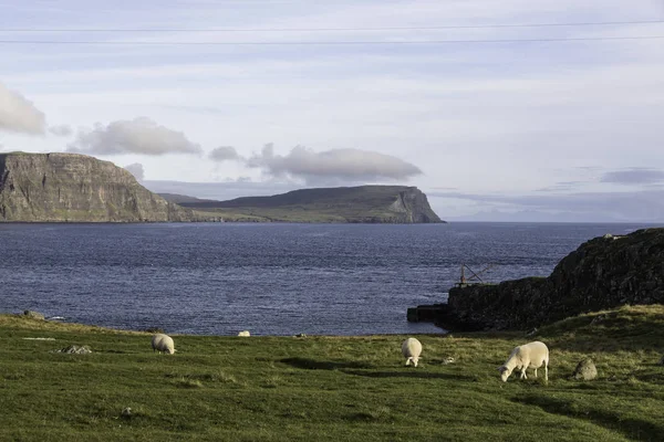 Neist Punt Een Uitkijkpunt Het Meest Westelijke Punt Van Isle — Stockfoto