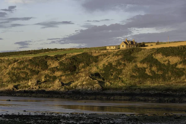 Dornoch Firth Arbusto Costa Este Highland Norte Escocia —  Fotos de Stock