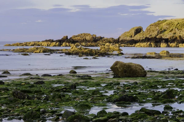 Dornoch Firth 스코틀랜드 하일랜드의 해안에 섬이다 — 스톡 사진