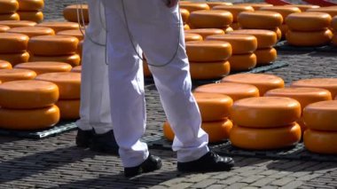 Alkmaar 'ın ana ilgi alanı Waagplein' daki peynir pazarı..