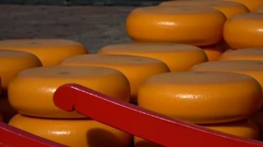Alkmaar 'ın ana ilgi alanı Waagplein' daki peynir pazarı..