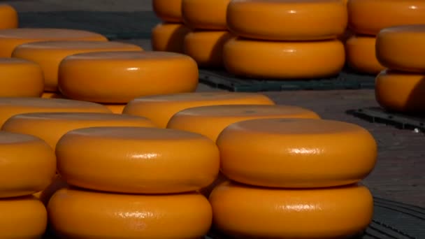 碱的主要吸引力是瓦格普林的奶酪市场 — 图库视频影像