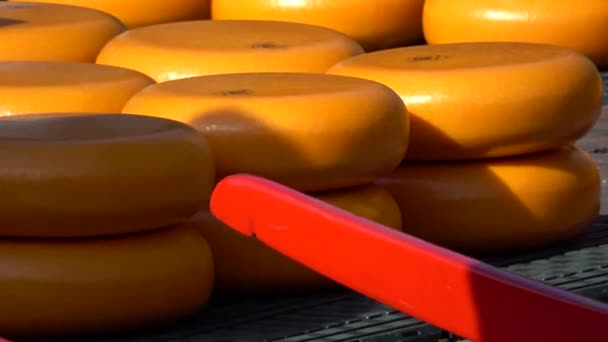 アルクマールの主な魅力は ワグプレインのチーズ市場です — ストック動画