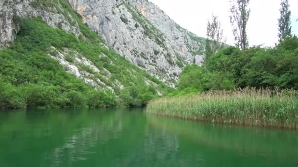 Cetina Flod Södra Kroatien Och Det Rinner Adriatiska Havet — Stockvideo