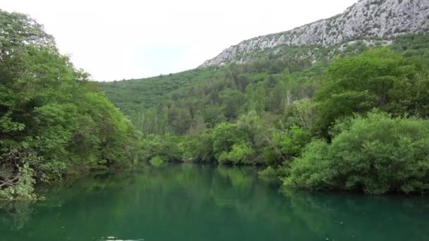 Cetina Río Sur Croacia Desemboca Mar Adriático — Vídeos de Stock