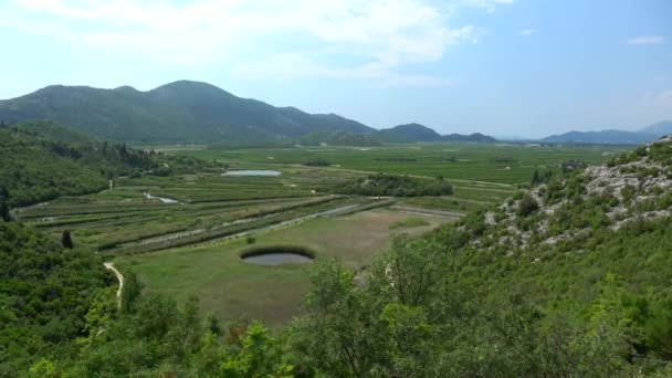 Neretva Delta Rivierdelta Van Neretva Een Rivier Die Door Bosnië — Stockvideo