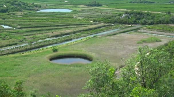 Neretva Delta Floddeltan Neretva Flod Som Rinner Genom Bosnien Och — Stockvideo
