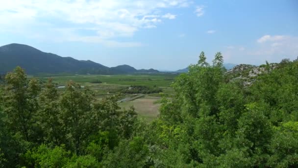 Bosna Hersek Hırvatistan Adriyatik Denizi Boşaltır Bir Nehir Neretva Nehri — Stok video