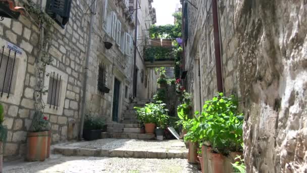 Dubrovnik Ist Eine Kroatische Stadt Der Adria Ist Eines Der — Stockvideo