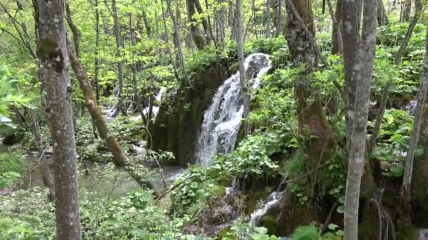 Národní Park Plitvická Jezera Jedním Nejstarších National Parks Jihovýchodní Evropě — Stock video