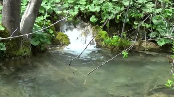 Parque Nacional Dos Lagos Plitvice Dos Parques Nacionais Mais Antigos — Vídeo de Stock