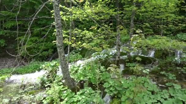 Národní Park Plitvická Jezera Jedním Nejstarších National Parks Jihovýchodní Evropě — Stock video