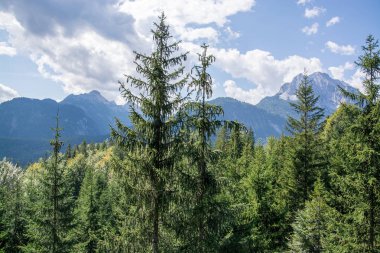 Wetterstein Dağları, Doğu Alpler 'de Garmisch-Partenkirchen, Mittenwald, Seefeld in Tirol ve Ehrwald arasında yer alan bir dağ grubudur..