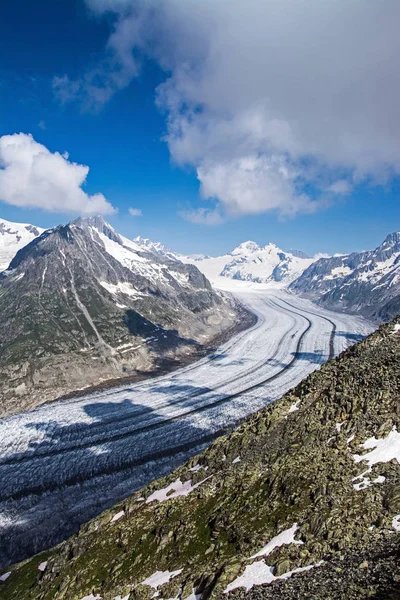 Aletsch Buzulu Doğu Bernese Alps İsviçre Valais kentinde en büyük buzul olduğunu.