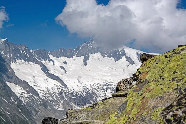 Glaciar Aletsch Glaciar Más Grande Del Este Los Alpes Berneses —  Fotos de Stock