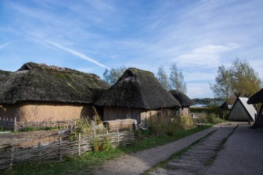 Hedeby'önemli bir Danimarkalı Viking yaş Jutland Yarımadası, şimdi, Schleswig-Flensburg iline ilçe kuzeyinde Schleswig-Holstein, Almanya'nın Güney sonuna yakın yerleşim ticaret yapıldı..