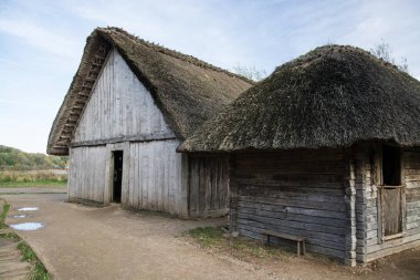 Hedeby'önemli bir Danimarkalı Viking yaş Jutland Yarımadası, şimdi, Schleswig-Flensburg iline ilçe kuzeyinde Schleswig-Holstein, Almanya'nın Güney sonuna yakın yerleşim ticaret yapıldı..