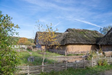 Hedeby'önemli bir Danimarkalı Viking yaş Jutland Yarımadası, şimdi, Schleswig-Flensburg iline ilçe kuzeyinde Schleswig-Holstein, Almanya'nın Güney sonuna yakın yerleşim ticaret yapıldı..