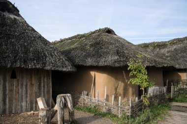 Hedeby'önemli bir Danimarkalı Viking yaş Jutland Yarımadası, şimdi, Schleswig-Flensburg iline ilçe kuzeyinde Schleswig-Holstein, Almanya'nın Güney sonuna yakın yerleşim ticaret yapıldı..