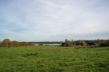 Hedeby'önemli bir Danimarkalı Viking yaş Jutland Yarımadası, şimdi, Schleswig-Flensburg iline ilçe kuzeyinde Schleswig-Holstein, Almanya'nın Güney sonuna yakın yerleşim ticaret yapıldı..