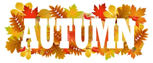 Sonbahar afişi. Sonbahar renkli yaprakları metin