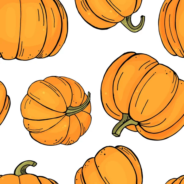 Pattern with pumpkins on white background. Autumn harvest. — Stock Vector