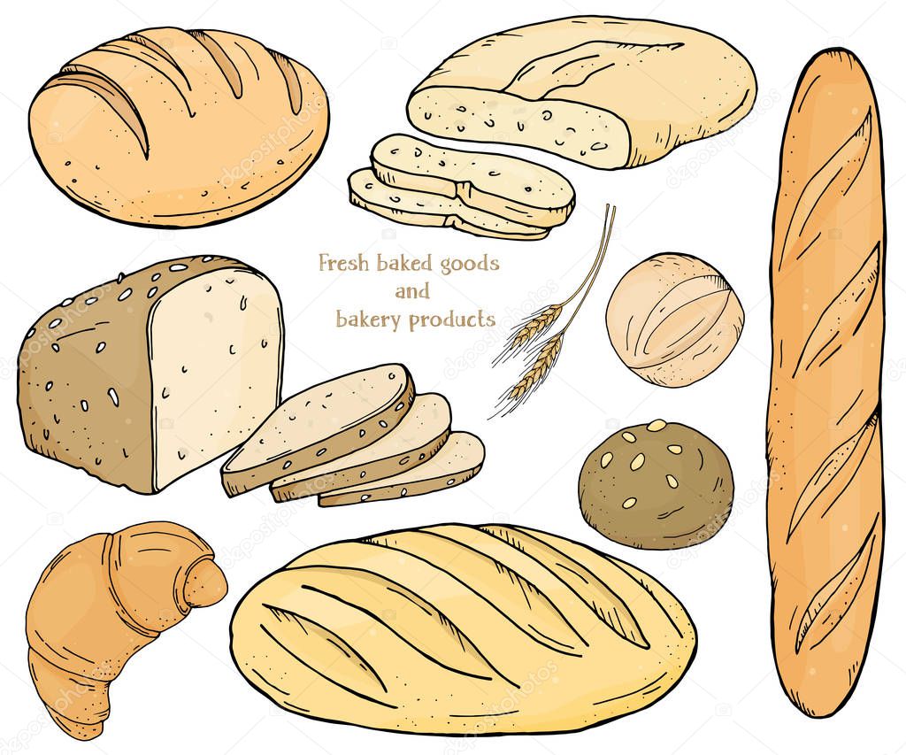 Set with bakery products on a white background. Baguette, loaves, rye bread, ciabatta and scones.