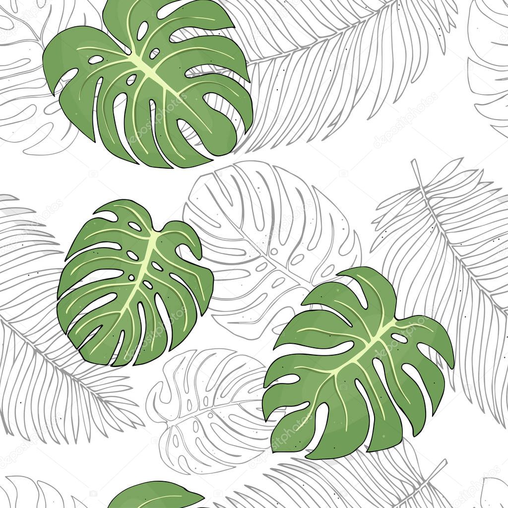 Pattern with tropical monstera leaves and palm trees on white background. Colorful vector illustration in sketch style.