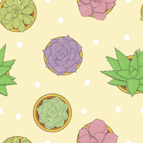 Naadloze bloemmotief met verschillende succulenten in potten. Kleurrijke vectorillustratie in schets stijl. — Stockvector