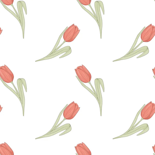 Varrat nélküli virágmintás tulipán virág. Finom romantikus tapéta, textília, csomagolás. Vázlat stílusú fehér háttér vektor illusztráció. — Stock Vector
