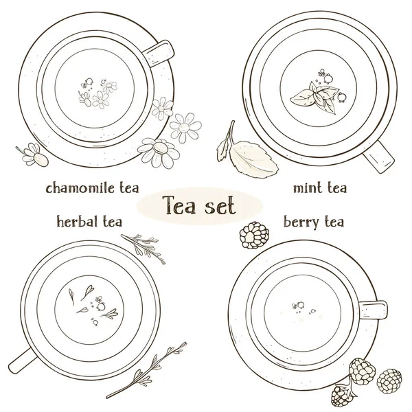 Set con tazas de té. Manzanilla, menta, hierbas y té de bayas. Para menú de restaurante, procesamiento, atención médica. Ilustración vectorial monocromática en estilo de boceto. La vista desde arriba . — Vector de stock