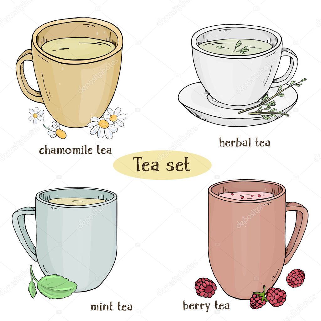 Set with cups of tea. Chamomile, mint, herbal and berry tea. Colorful vector illustration in sketch style. For restaurant menu, processing, health care.