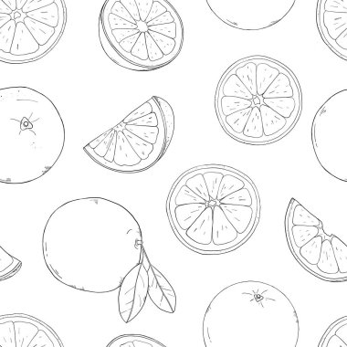 Portakal ile dikişsiz desen. Elleriyle çizim. Çizim stilinde renksiz vektör çizimi.