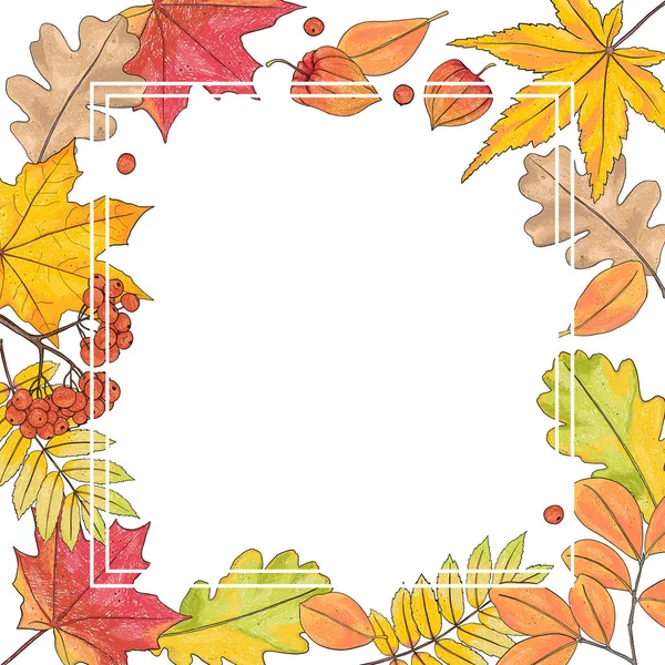 Frame with autumn leaves on white background. Place for your text. Template. Mock up. — Stock Vector