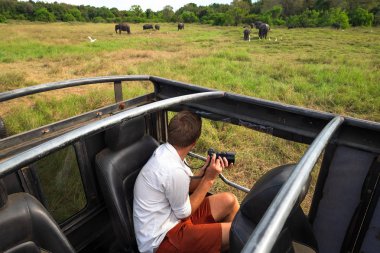 Safari Sri Lanka Ulusal Parkı içinde sırasında fotoğrafları fil sürünün yapma Beyaz tişörtlü beyaz adam