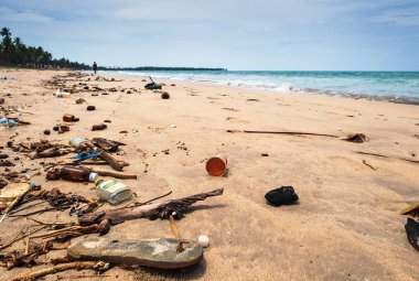 Sri Lanka'da Uouveli Trincomale sahil üzerinde felaket