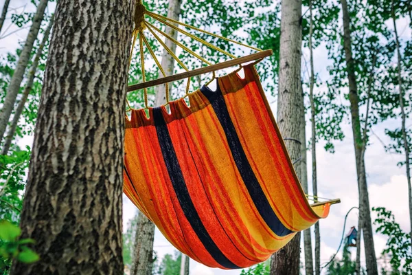Yeşil orman boş hamakta. Kimse içinde dinleniyor. Seyahat, macera, kamp malzemeleri, doğa açık havada öğeleri.