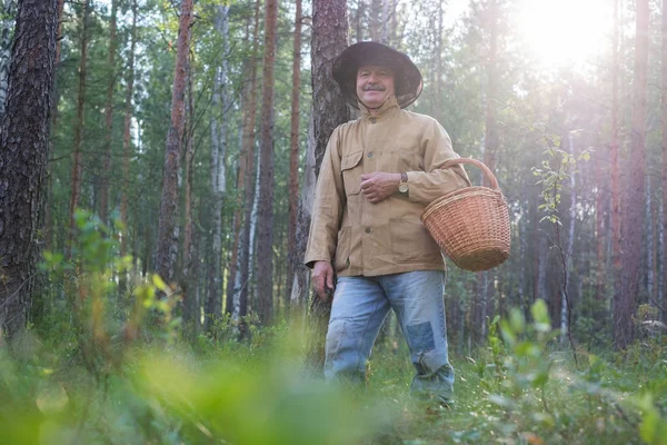 Зрілий чоловік збирає прогулянки з кошиком у лісі. Він дивиться навколо насолоджуватися свіжим повітрям деревини . — стокове фото