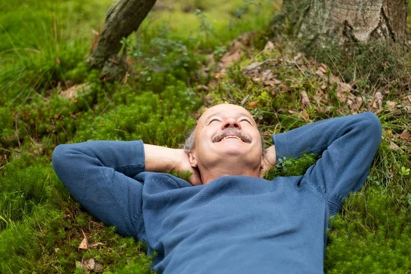 Mature Man Blue Sweater Lay Grass Forest Listening Birds Songs — Stock Photo, Image