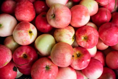 Kırmızı taze elma arka plan. Sonbaharda hasat kavramı. Eko diyet madde