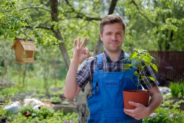 Jeune Agriculteur Caucasien Tenant Des Plantes Biologiques Montrant Signe Potager — Photo